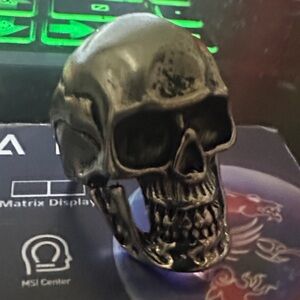 Men's goth punk biker Skull Ring in Silver plated stainless steel